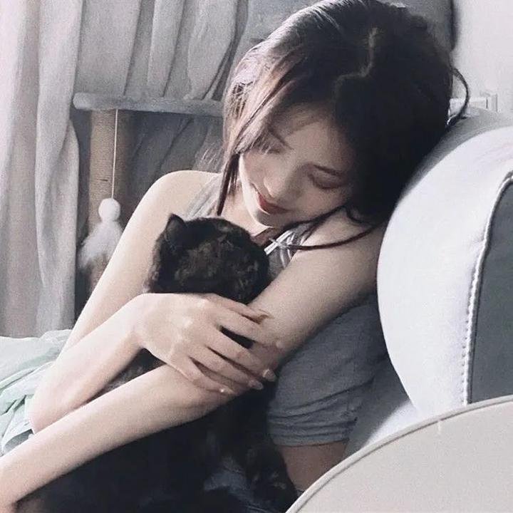 如果德川家康成为总理大臣